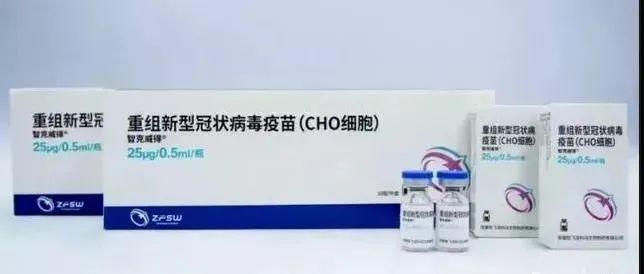 表单头图