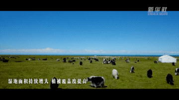 表单头图